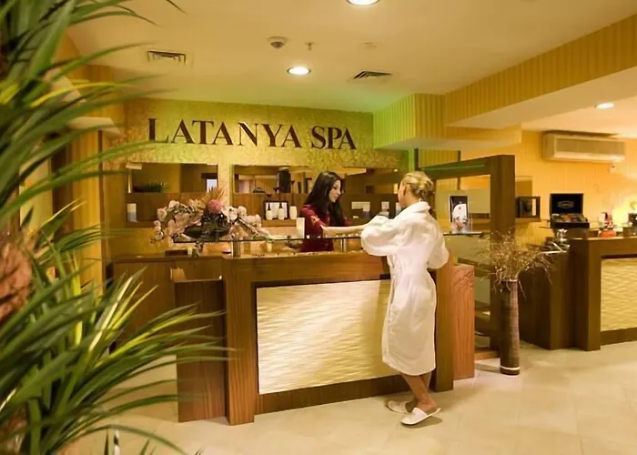 Latanya Palm & Airport
